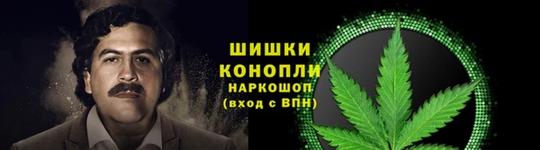 spice Коряжма