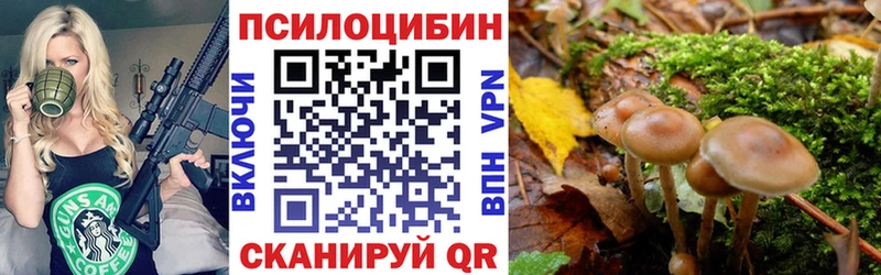 Галлюциногенные грибы Magic Shrooms  Купить закладки  Киров 